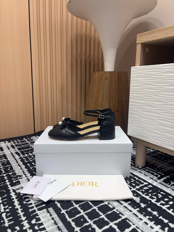 Dior Shoe 